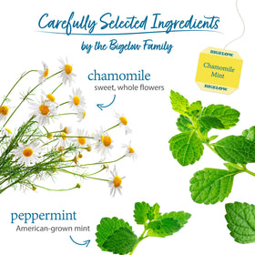 Bigelow Chamomile Mint packaging highlights freshness and quality.