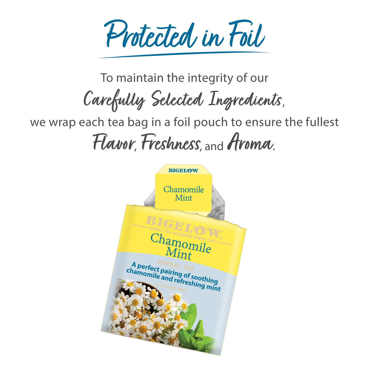 Steeping Bigelow Chamomile Mint reveals gentle herbal flavors and aroma.