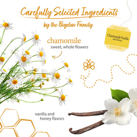 Cup of Bigelow Chamomile Vanilla with Honey tea releasing warm aroma during brew.
