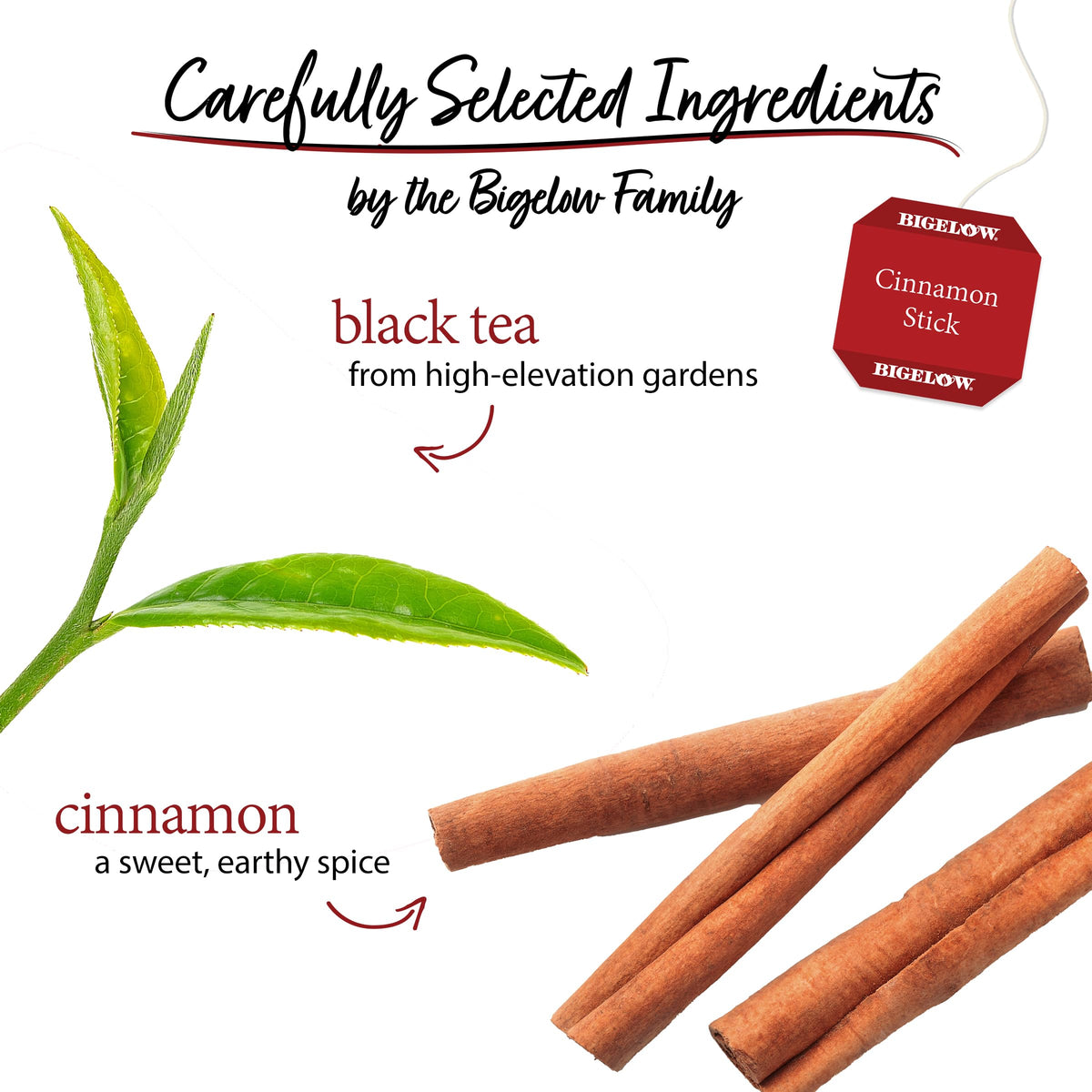 Bigelow Cinnamon Stick Black Tea cup with steam, ideal for a cozy morning