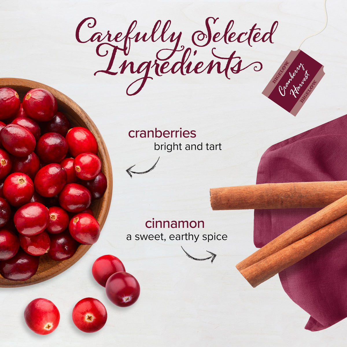 Cranberry Harvest cup with steam, evoking cozy, caffeine-free sipping moments