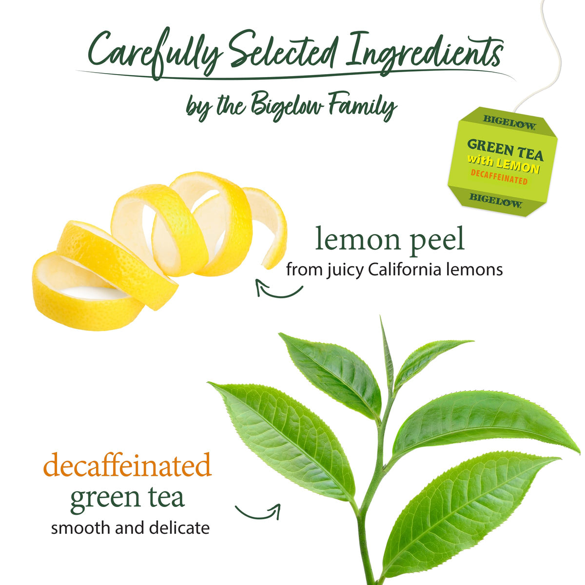 Lemon slice over a brewed Bigelow cup highlighting bright citrus