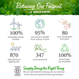 Bigelow Green Tea Sampler mint green tea bag for a cooling afternoon break.