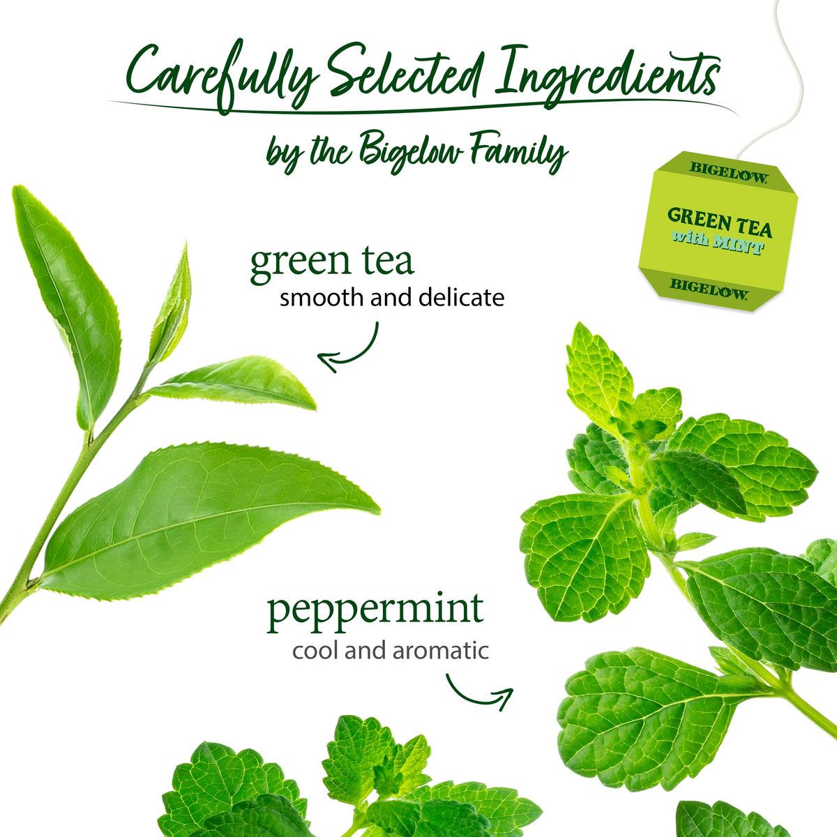 Bigelow Green Tea with Mint iced tea poured over ice, refreshing flavor