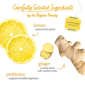 Bigelow Tea Lemon Ginger Probiotics cup steeping with inviting aroma