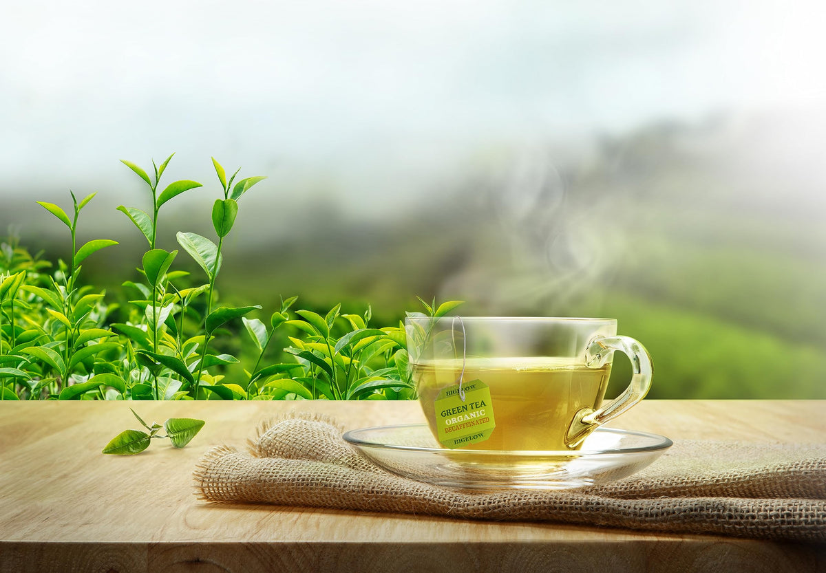 Cup of Bigelow Green Tea steeping with a smooth decaf flavor