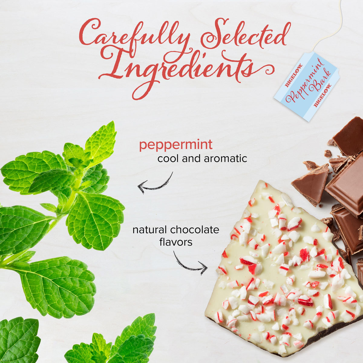 Hot cup of Bigelow Peppermint Bark tea with steam for a cozy evening ritual