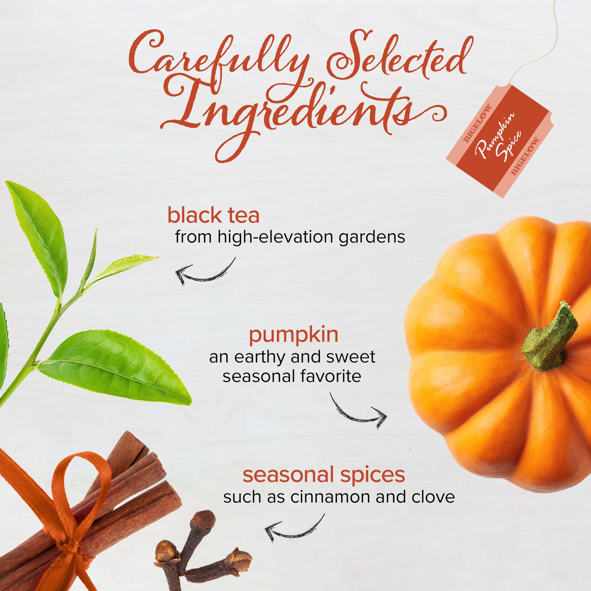 Bigelow Pumpkin Spice box packaging preserving freshness and aroma