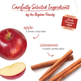 Steeping cup of Bigelow Simply Cinnamon Apple Herbal Tea with warm aroma