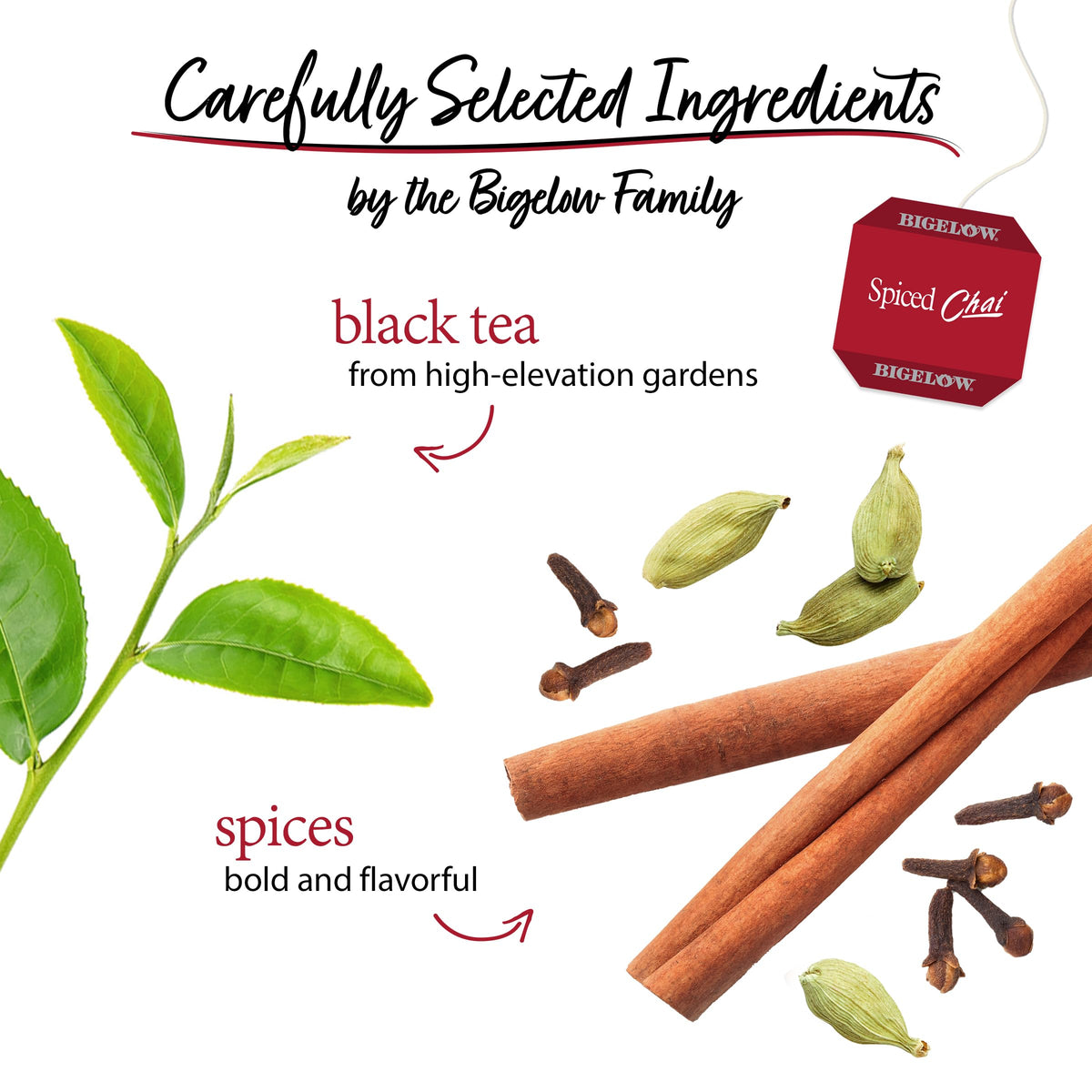 Close-up of chai spice blend with cinnamon and cardamom notes