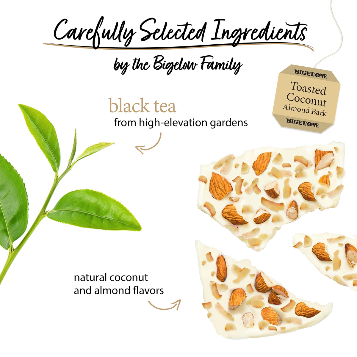 Cup of Bigelow Toasted Coconut Almond Bark Black Tea with a creamy coconut aroma.