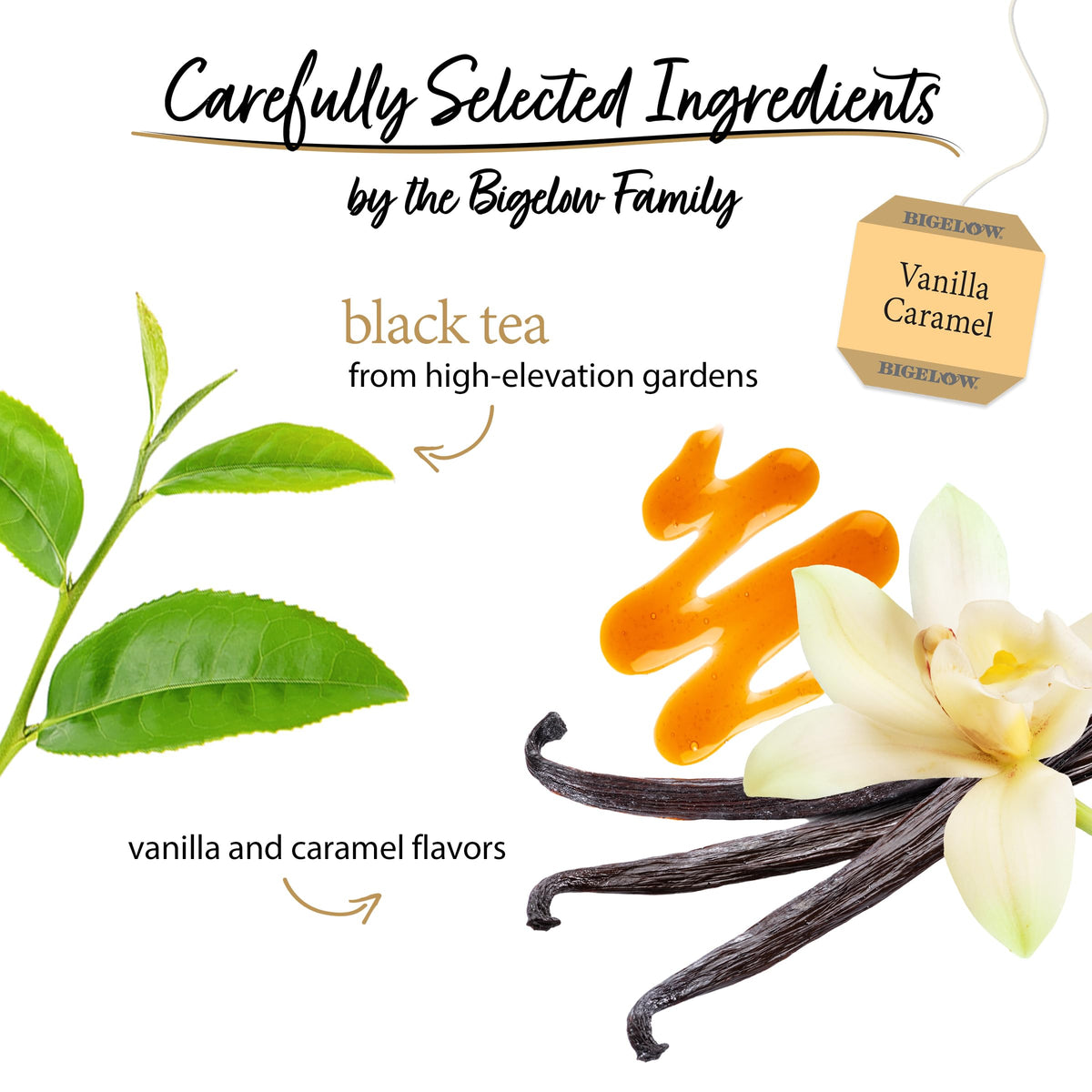 Brewing Bigelow vanilla caramel tea yields a warm cup with creamy notes