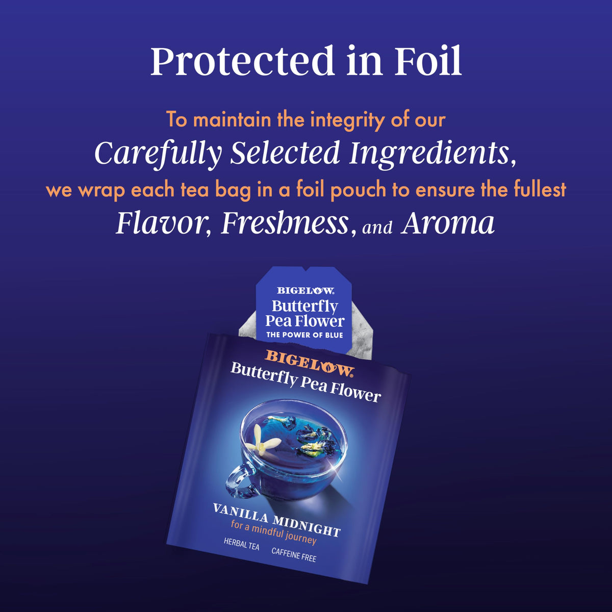 Bigelow Vanilla Midnight Butterfly Pea Flower blend in a teacup highlighting its natural hue.