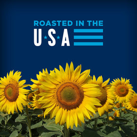 USA-grown BIGS seeds with ranch taste ideal for picnics and road trips