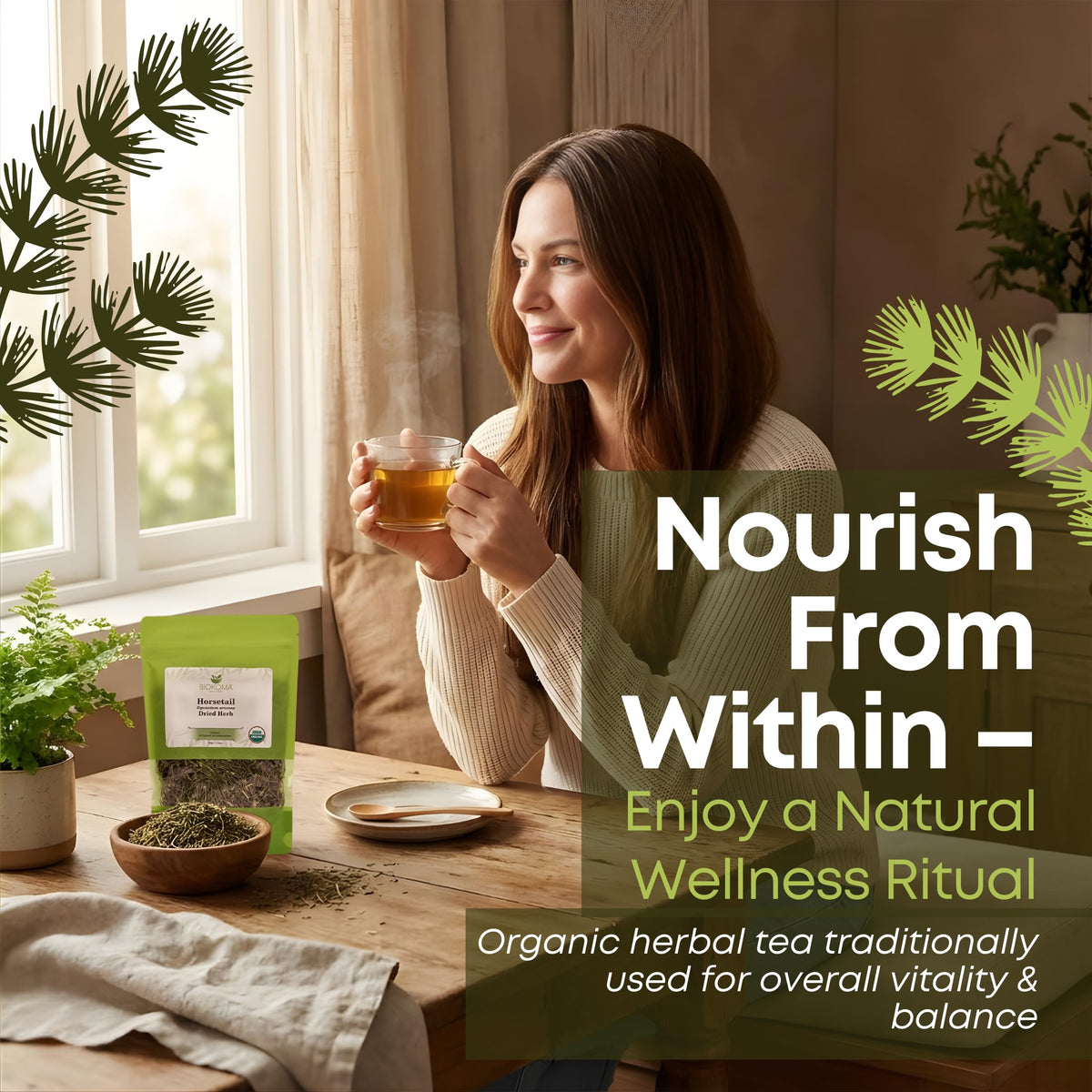 Biokoma organic horsetail tea ready for daily use in a cup.