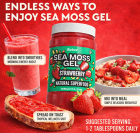 Biolore Sea Moss Gel Strawberry tub shows compact 8oz packaging.
