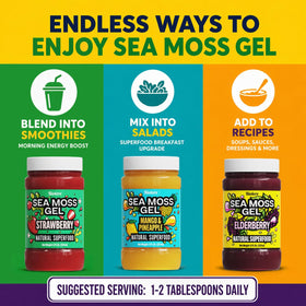 Biolore Sea Moss gel close-up shows smooth texture and vibrant color.