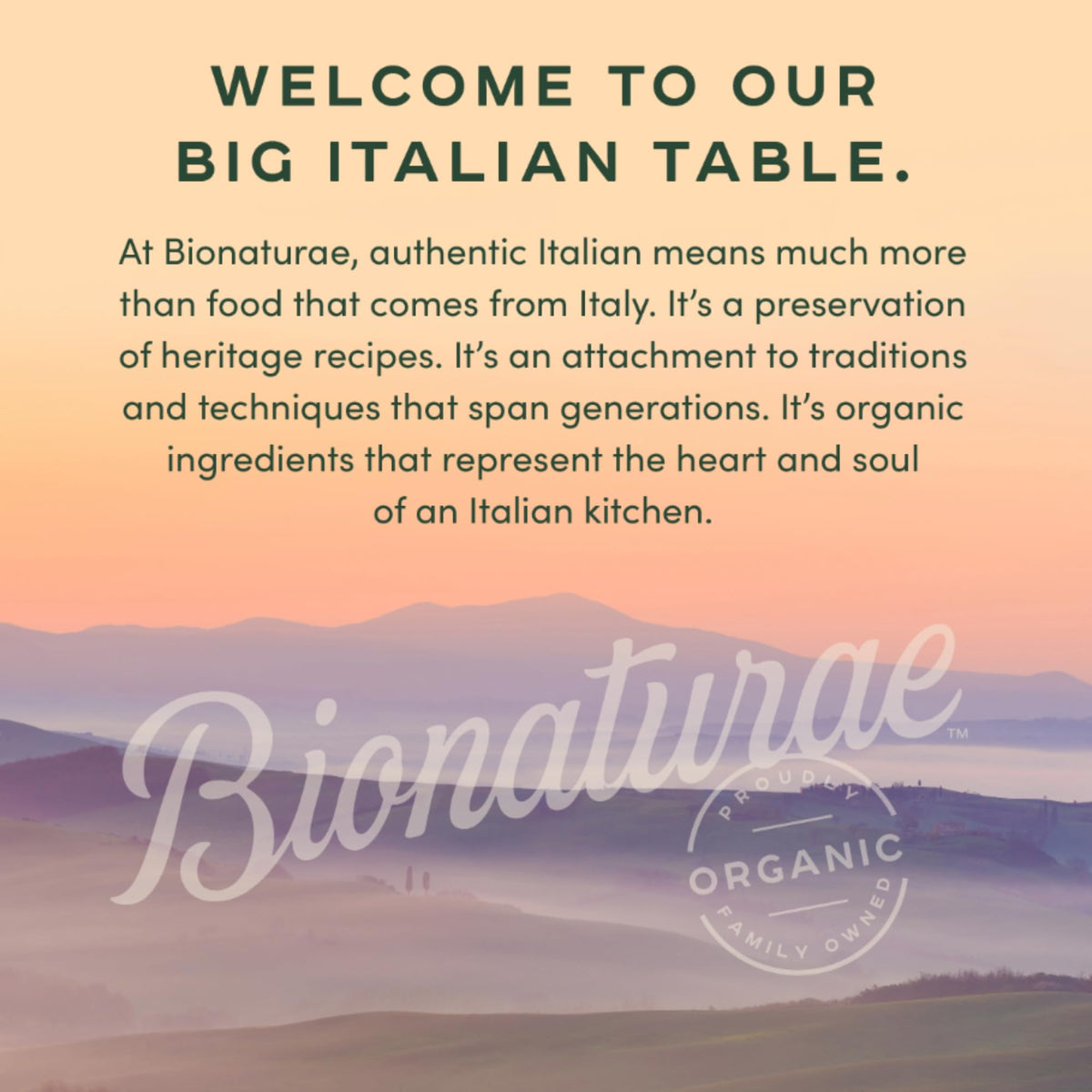Bionaturae served with sauce, glossy strands ready to savor with any sauce