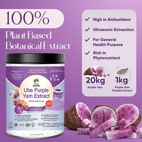 BIONUTRICIA EXTRACT Ube powder in baking dough for vibrant color and flavor