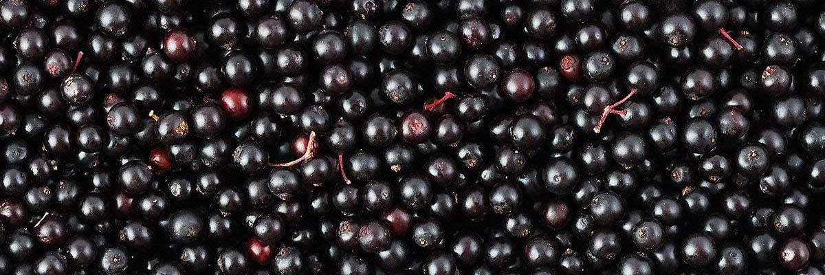 Biotta elderberry juice on shelf with fresh fruit for daily refreshment.