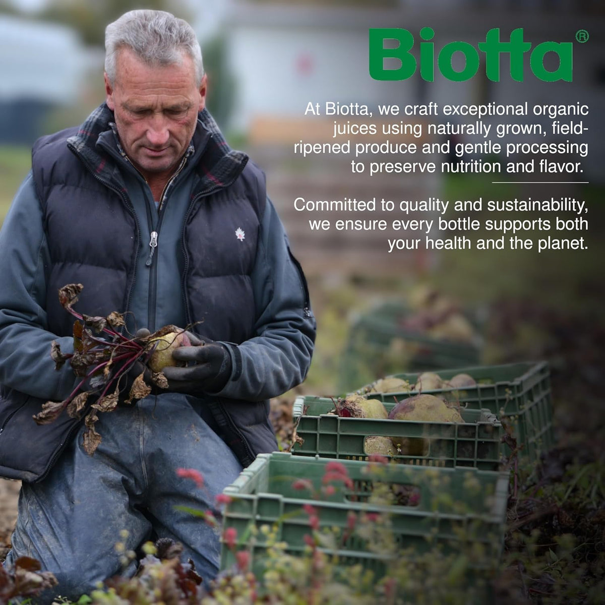 Biotta glass bottles stacked, eco-friendly packaging.