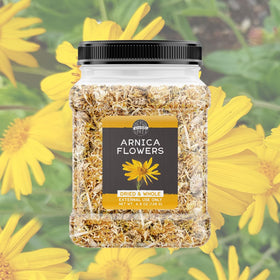 Birch & Meadow Arnica Flowers ideal for sharing with family and friends.