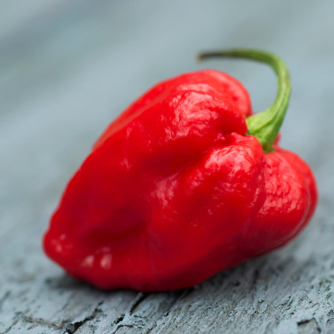 Birch & Meadow ground Carolina Reaper peppers for fiery spice rubs.