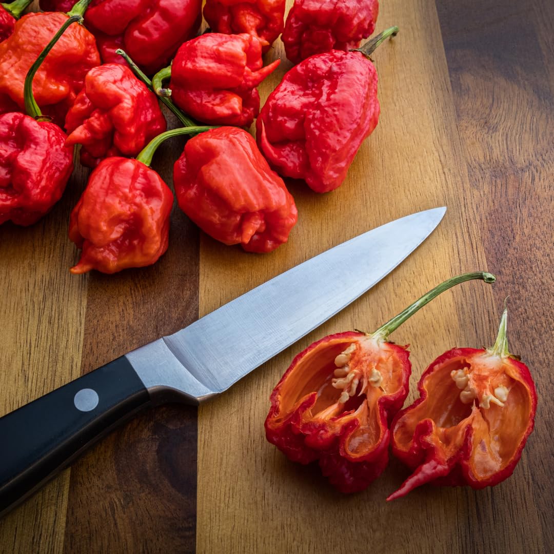 Birch & Meadow oil infusion with Carolina Reaper pepper for flavor.