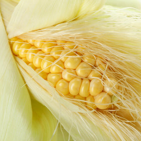 Birch & Meadow corn starch assists jams and canned goods texture.