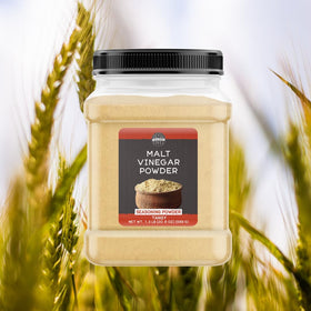 Close-up of Birch and Meadow Malt Vinegar Powder texture.