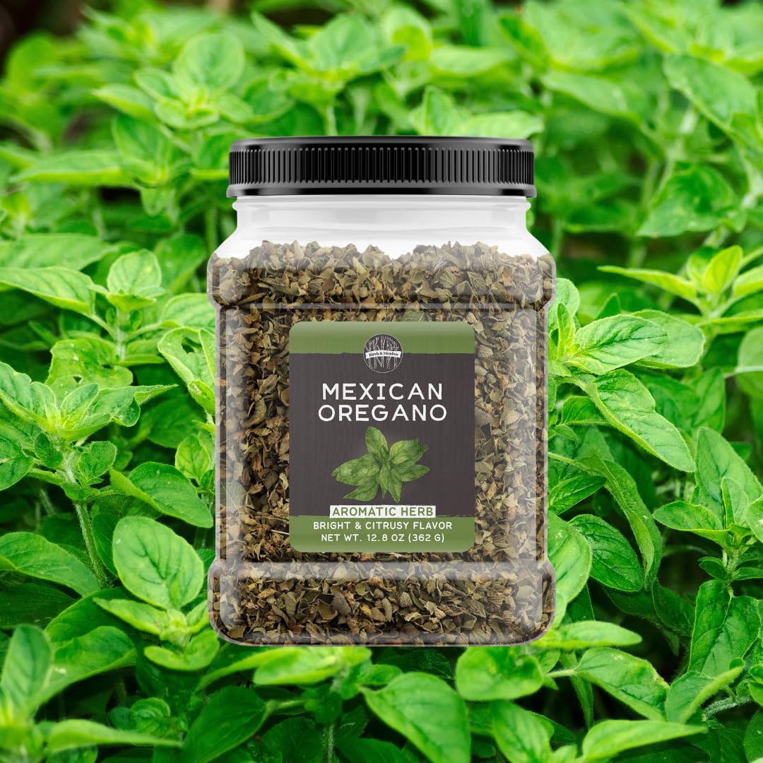Birch & Meadow Mexican oregano dried leaves in a scoop for chili aroma