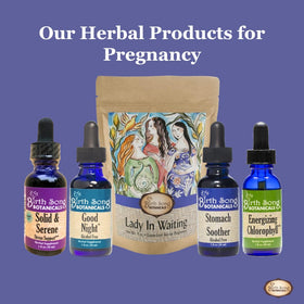Birth Song Botanicals Lady in Waiting packaging and label indicating mom-focused herbal blend