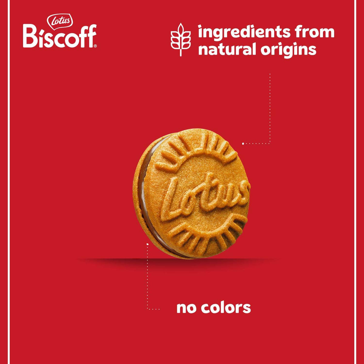 Cookies dunked in milk show smooth texture and inviting bite