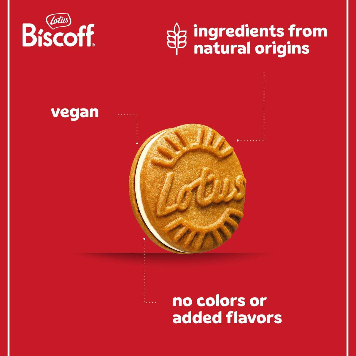 Biscoff Lotus vanilla cookies cream-filled slice close-up for indulgent tasting