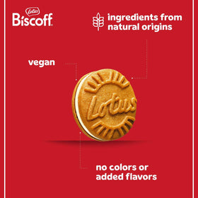 Biscoff Lotus vanilla cookies cream-filled slice close-up for indulgent tasting