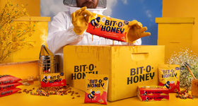 Bit-O-Honey 5 lb bulk bag, perfect for party candy.
