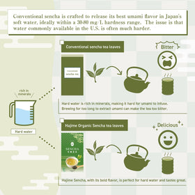BJDesign Sencha cold brew glass shows smooth, mellow sweetness.
