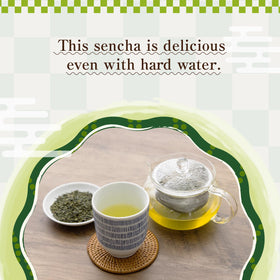 BJDesign Sencha hot brew steps guide ideal extraction.