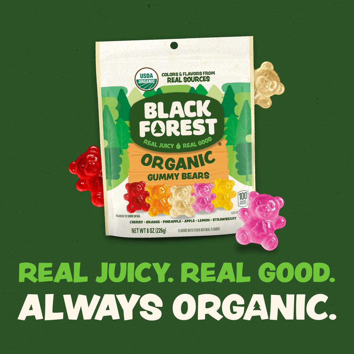 Black Forest Organic Gummy Bears pantry-friendly and travel-ready