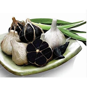 Black Garlic North America glossy cloves add intense umami to sauces.