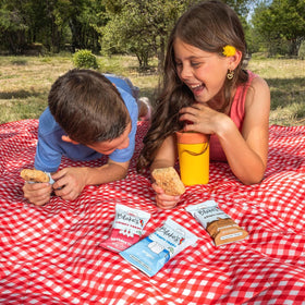 Nut-free, gluten-free Blake's Birthday Cake bar in a resealable pack for portability