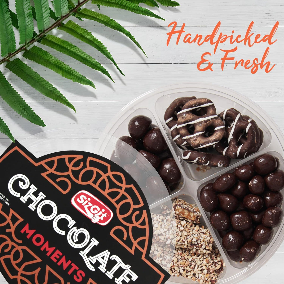 Bloom's gourmet chocolate varieties collection showcasing rich textures