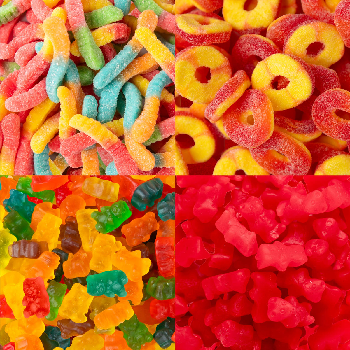 Blue Bow Gourmet kids snack time essentials with soft textures