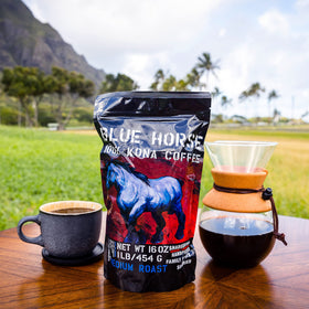 Blue Horse Kona pour-over scene emphasizes clean flavor extraction.