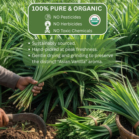 Blue Orchid Organic Pandan Powder liquid extraction demonstrates vibrant green tint for drinks