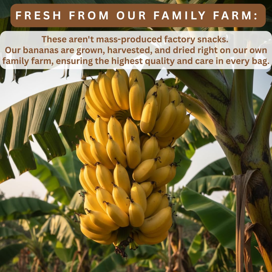 Blue Orchid Organic sun dried bananas rich in potassium and fiber, tasty option.
