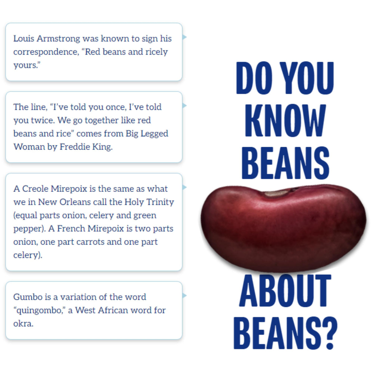 Beans served over rice highlighting classic red beans and rice pairing.