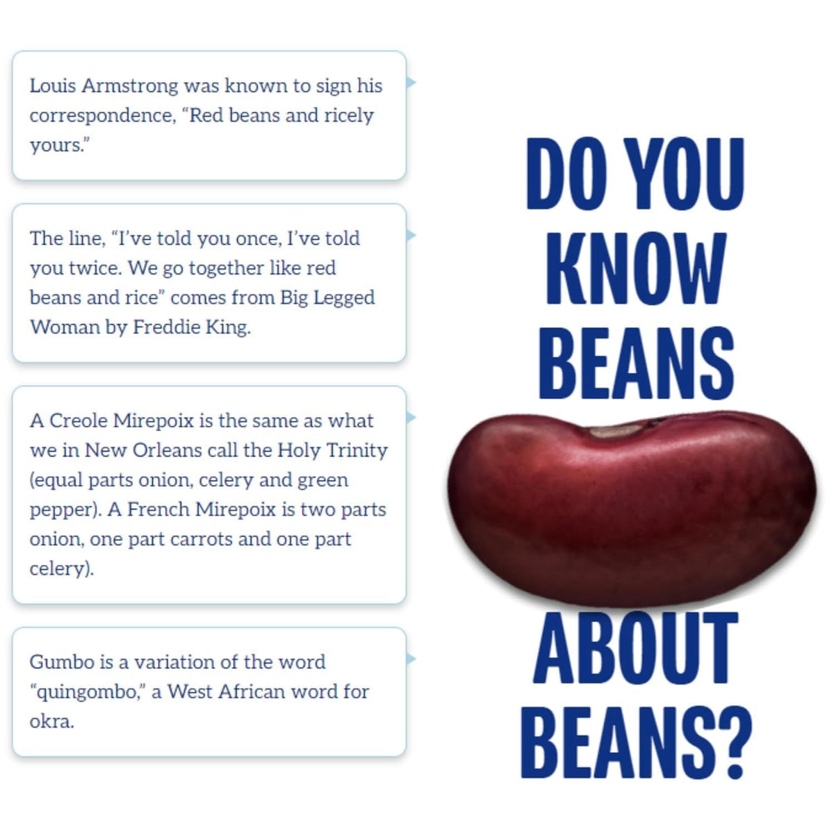Blue Runner Spicy Creole Red Beans used in a Cajun dish base