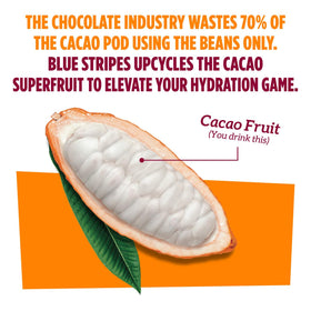 Blue Stripes Cacao Water back-of-pack display highlighting no sugar and no artificial ingredients.