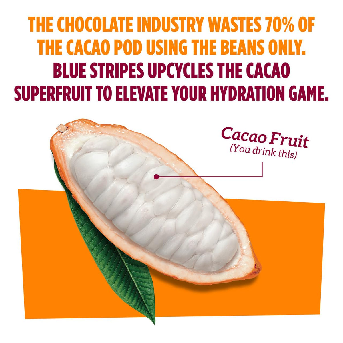 Blue Stripes Cacao Water ingredients list cacao fruit juice and filtered water